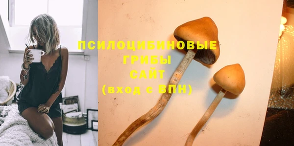МДПВ Абинск