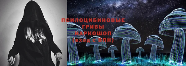 МДПВ Абинск