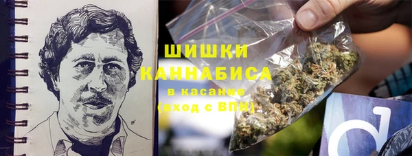 амф Алзамай